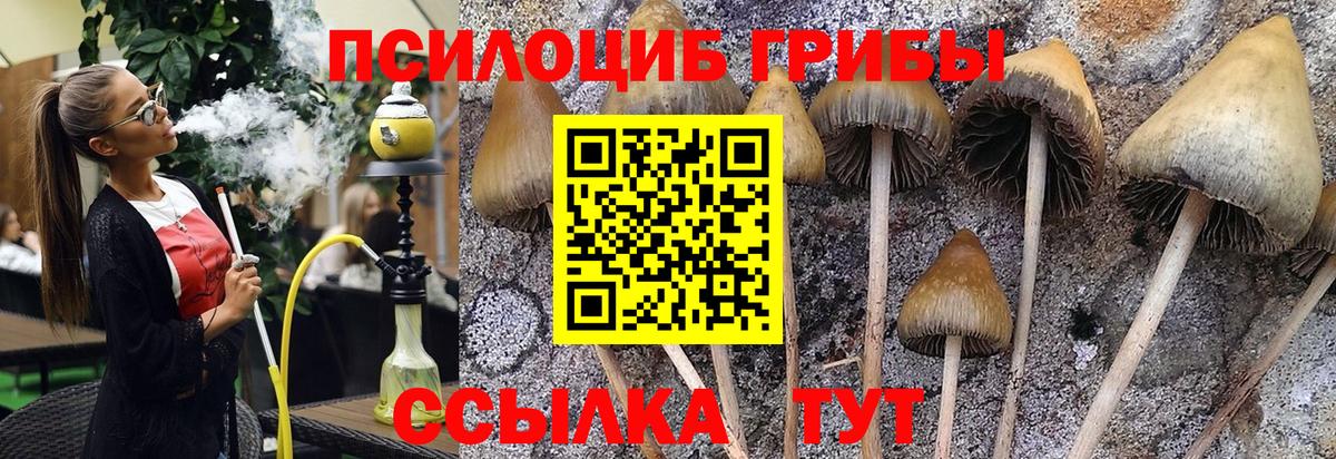 Галлюциногенные грибы ЛСД Гулькевичи