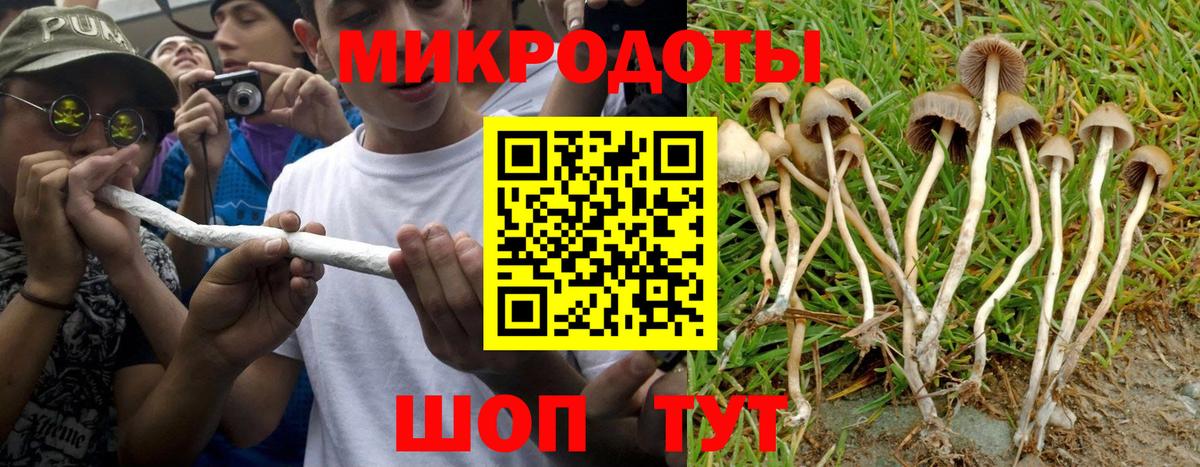 Псилоцибиновые грибы Psilocybine cubensis  Вход с VPN  Псилоцибиновые грибы мицелий  Гулькевичи 